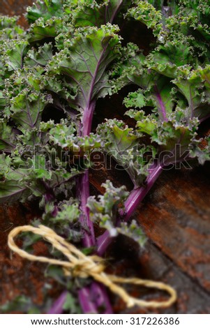 Kale leaves tied in bunch with string close up on rustic wood. Red or Russian kale showing purple veins contrasting with green leaf. Selective focus on leaves.