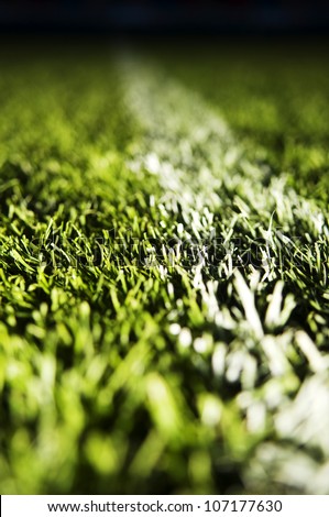 The grass on a football ground, close-up.