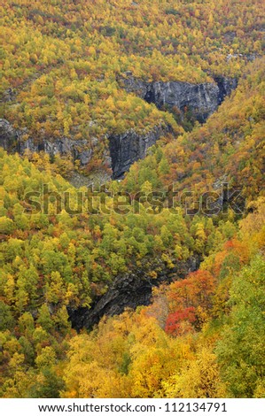 Rocky landscape covered with forest, from above