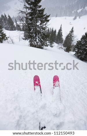 Skis in snow near forest