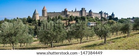 Panoramic view of a olive tree field with the ancient city of Carcassonne on the background, south of France