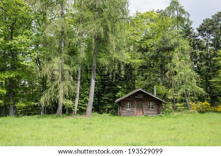 Small house in the forest