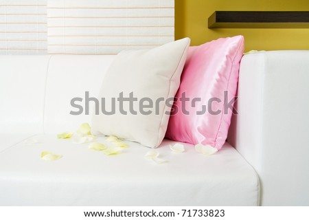 Modern living room detail with pillows and rose petals