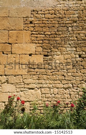Very old brick wall with different size bricks, with grass and red roses growing at the bottom