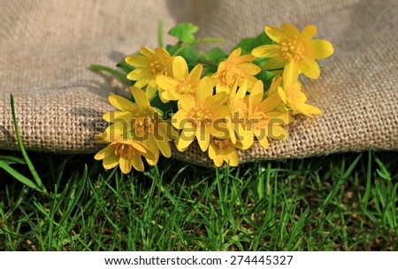 bright field flowers on burlap bag and lawn