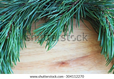evergreen coniferous tree branches fir needles wooden framed background empty space