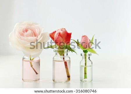 Fresh little pink rose flowers in little glass bottles romantic home decoration blank background soft