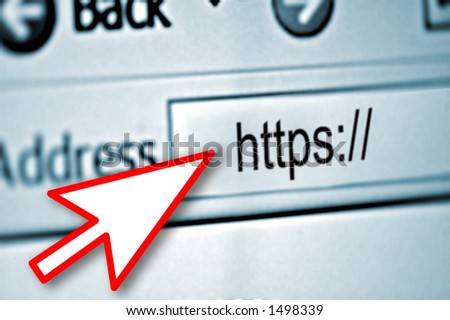 Closeup : Focus on Secured Website with red mouse pointer