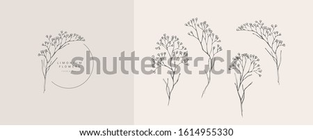 Limonium, babys breath logo and branch. Hand drawn wedding herb, plant and monogram with elegant leaves for invitation save the date card design. Botanical rustic trendy greenery vector illustration