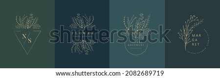 Set of inimal feminine botanical floral branch and logo. Hand drawn wedding herb, homeplant with elegant leaves. Botanical rustic trendy greenery vector Imagine de stoc © 