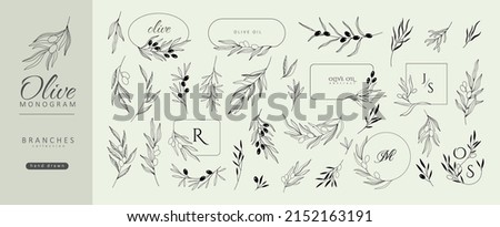 Set of olive oil monogram, floral branch and frames. Hand drawn wedding logo herb, with elegant leaves. Botanical rustic trendy greenery