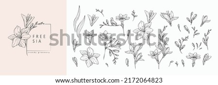 Set of luxury flowers and logo. Trendy botanical elements. Hand drawn line leaves branches and blooming. Wedding elegant wildflowers for invitation save the date card. Vector ストックフォト © 