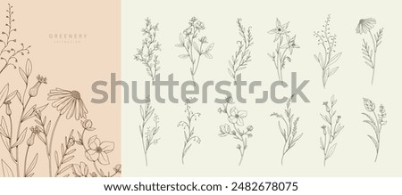 Set of luxury flowers and trendy botanical elements. Hand drawn line leaves branches and blooming. Wedding elegant wildflowers for invitation save the date card. Vector trendy