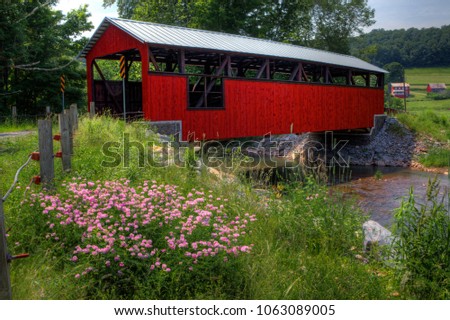 Similar – Image, Stock Photo the garden in the mirror