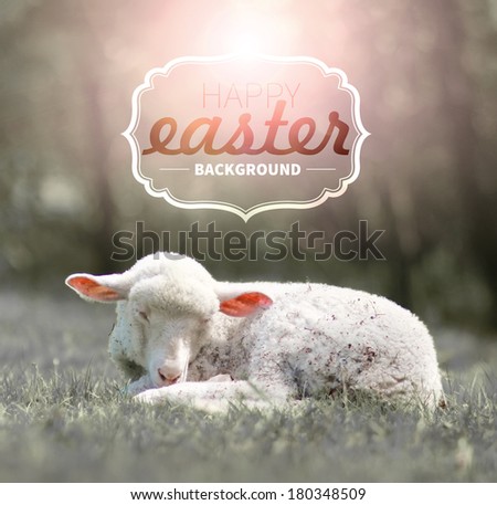 Happy easter lamb with text, spring background