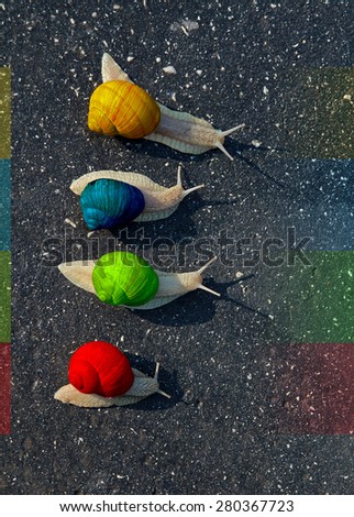 Snail run, animal funny concept, fast competition