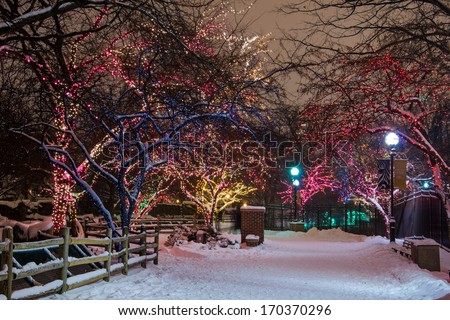 Beautiful path lined by colorful holiday lights