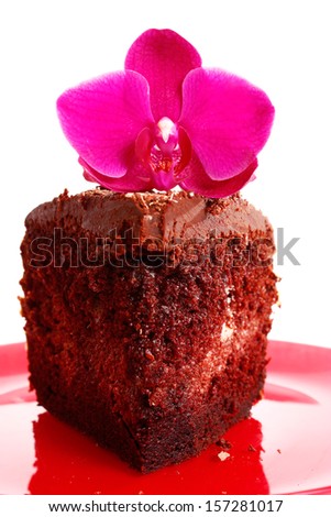 isolated chocolate chiffon cake with orchid flower