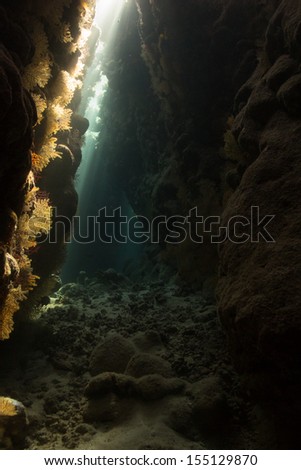 The underwater labyrinth - caves and caverns on the south of Egypt, Red sea