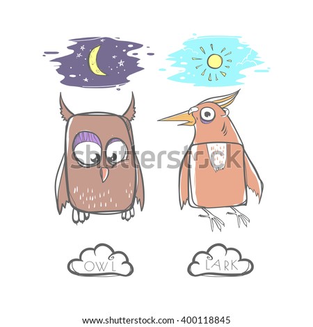 Night Owls vs Morning Larks. What Type of Bird Are You?