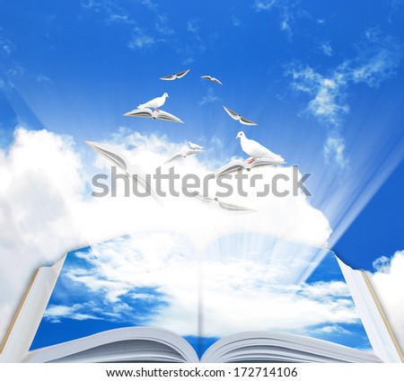 Flying book with bird for leaning