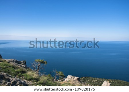 Tree standing on the brink of the precipice against the Black Sea in spring, Crimea