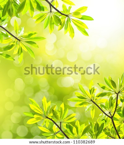 Green leaves border with green bokeh background