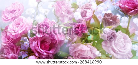 beautiful flowers made in soft style for background. Roses.  Blur style.
