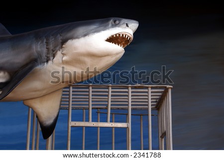 Great white shark and diver\'s cage