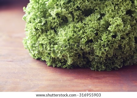 Green lettuce close up