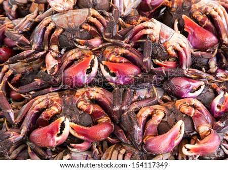 MEDER\'S MANGROVE CRAB,crab in market at Thailand.