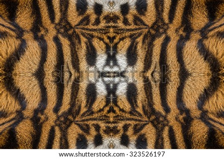 tiger skin texture ( fur )