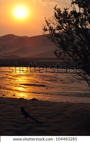 The sun sets through a haze of sand swept up by the day\'s high winds at Great Sand Dunes National Park.
