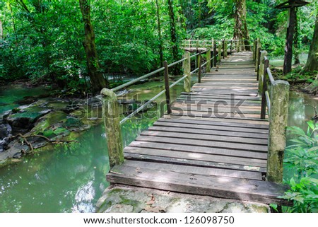 Wood bridge way into the forest