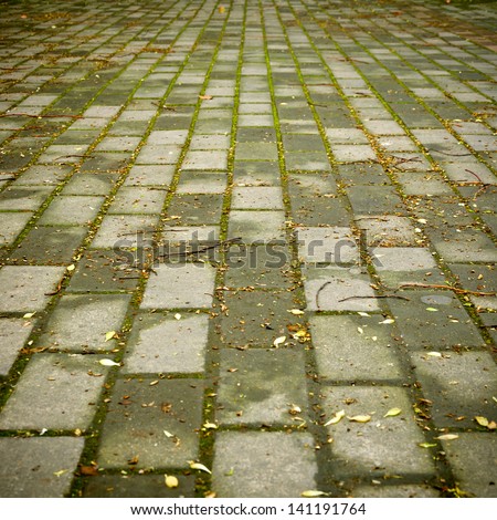 Regular brick pavement The fallen leaves