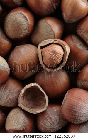 Hazelnuts in shells and unshelled, full frame
