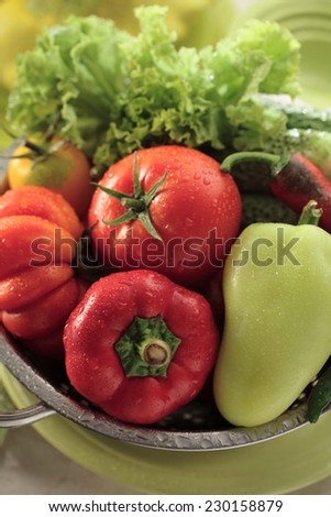 Collander with beefsteak tomatoes, bell pepper, chili pepper and Lollo bionda salad leaves