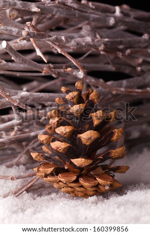 pine cone and wooden branches in snow