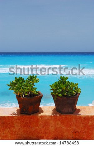 Jade plants and stucco wall with caribbean ocean in background
