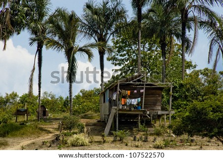 House on the bank of the Amazon River near Manaus, Brazil.