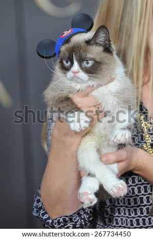 LOS ANGELES, CA - MARCH 1, 2015: Grumpy Cat at the world premiere of 