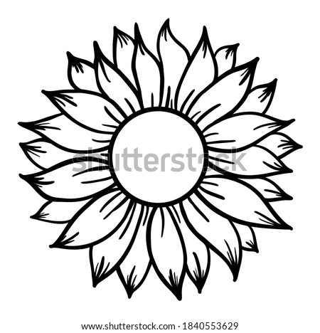 Sunflower print vector illustration for chirt floral decor