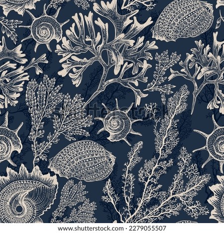Sea corals and seashells on a dark blue background 