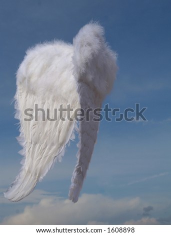 Heavenly Wings Stock Photo 1608898 : Shutterstock