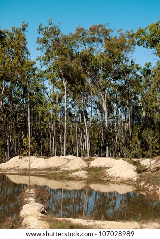 Typical Australian scene gum trees water landscape