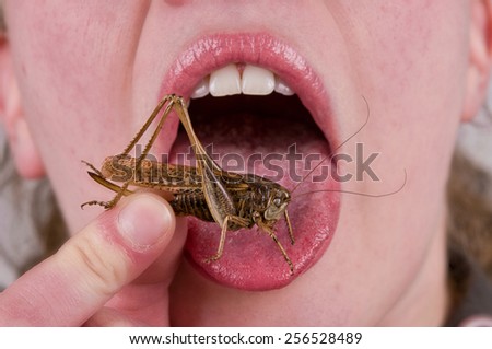bug in mouth