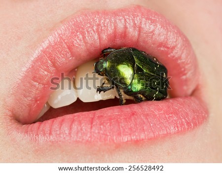 bug in mouth