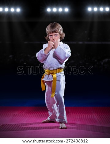Little boy aikido fighter at sports hall