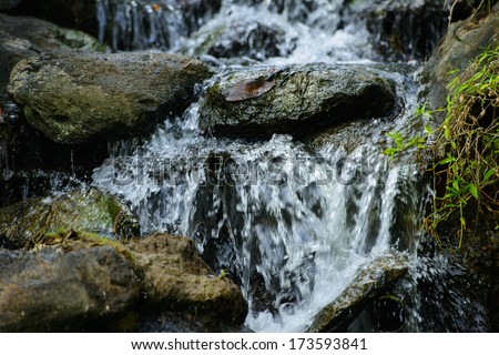 Beautiful waterfall rocks