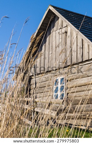 Old wooden rustic house and hedge through reed